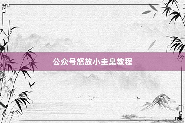 公众号怒放小圭臬教程